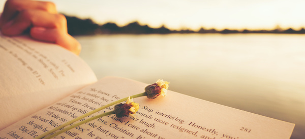 Close up hand of young woman reading the book at riverside in the evening.