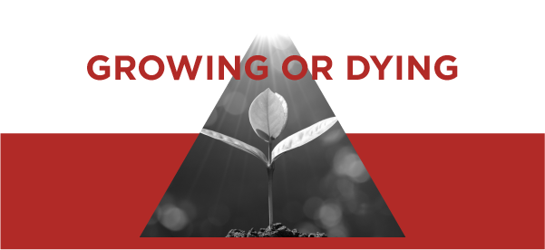 Growing or Dying