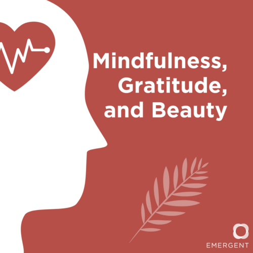 Mindfulness, Gratitude, and Beauty
