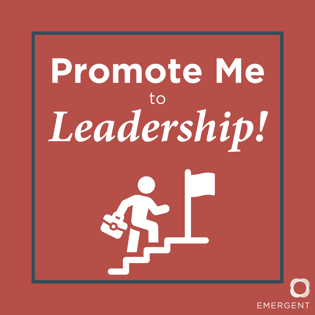 Promote Me to Leadership blog image