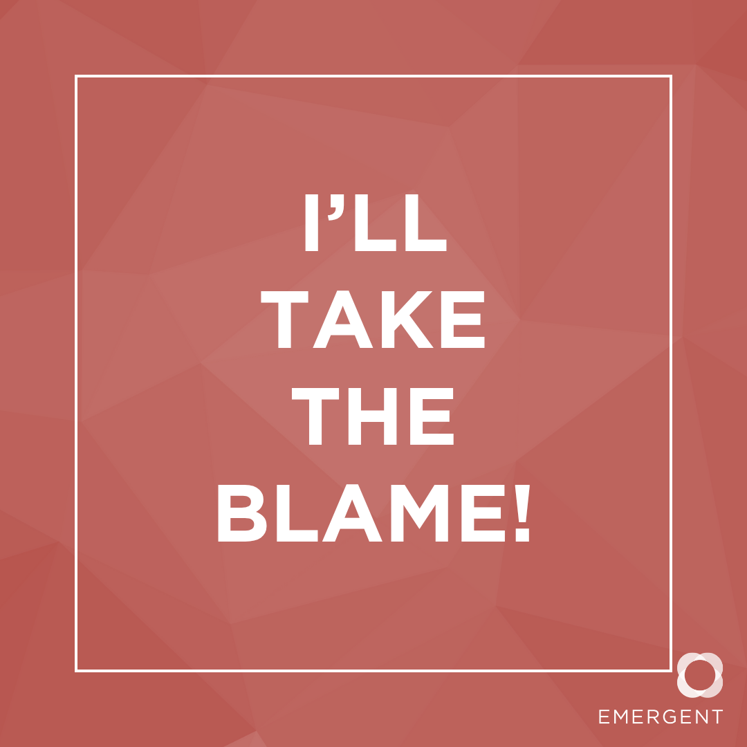 I'll Take the Blame by Bill Berthel